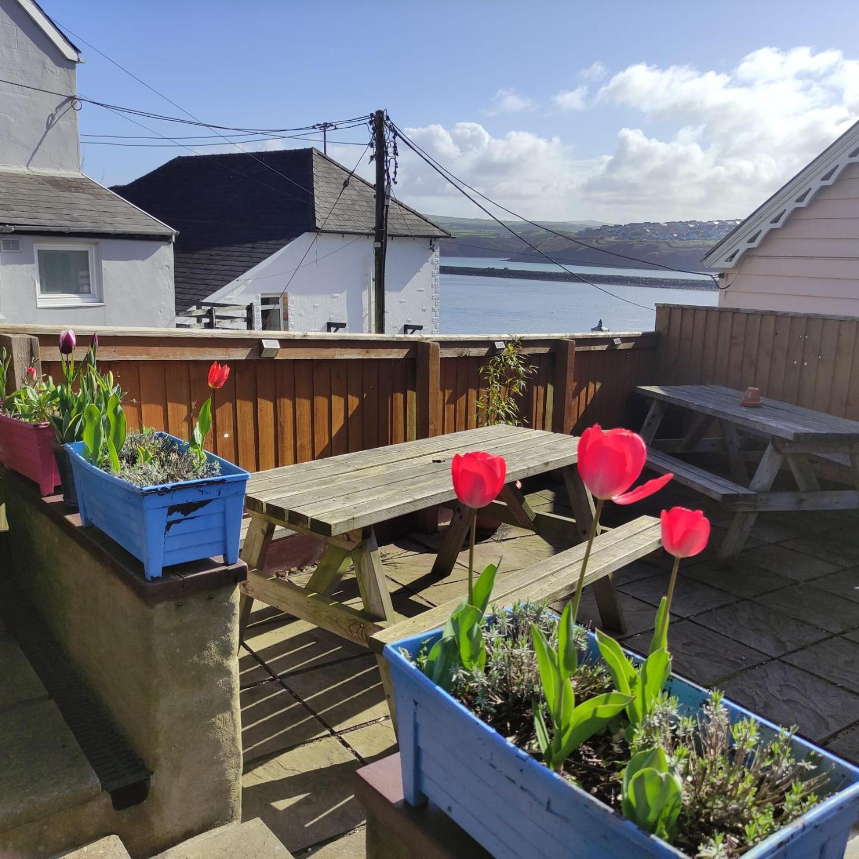 Rose And Crown Hotel & Hope And Anchor Bar Goodwick Zewnętrze zdjęcie